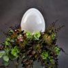 kompozycja wielkanocna z porcelanowym jajkiem z piękną zielenią